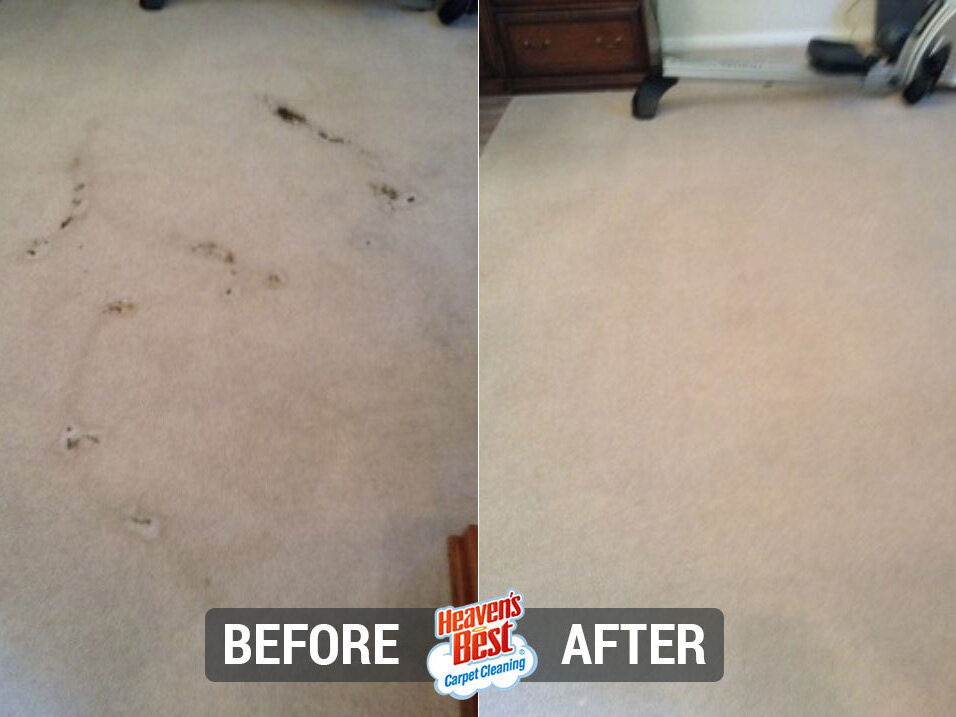 Heaven's Best Carpet Cleaning Elk Grove