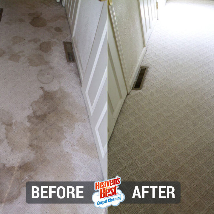 Heaven's Best Carpet Cleaning Elk Grove